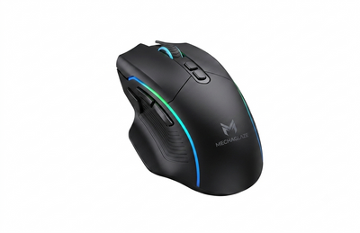 MOUSE